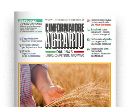 Vai alla pagina informativa de L'Informatore Agrario