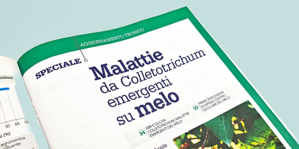 L'esperienza di lettura della rivista L'Informatore Agrario