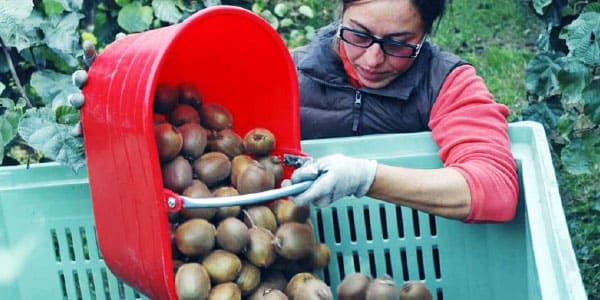 L'Informatore Agrario aggiorna sulle novità delle aziende