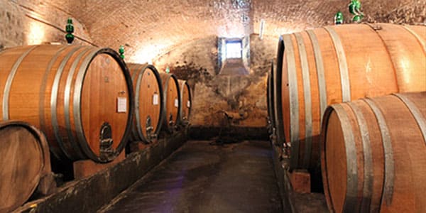 Vite&Vino è la rivista per il tecnico di cantina