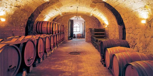 Vite & Vino è dedicata anche ai tecnici della cantina