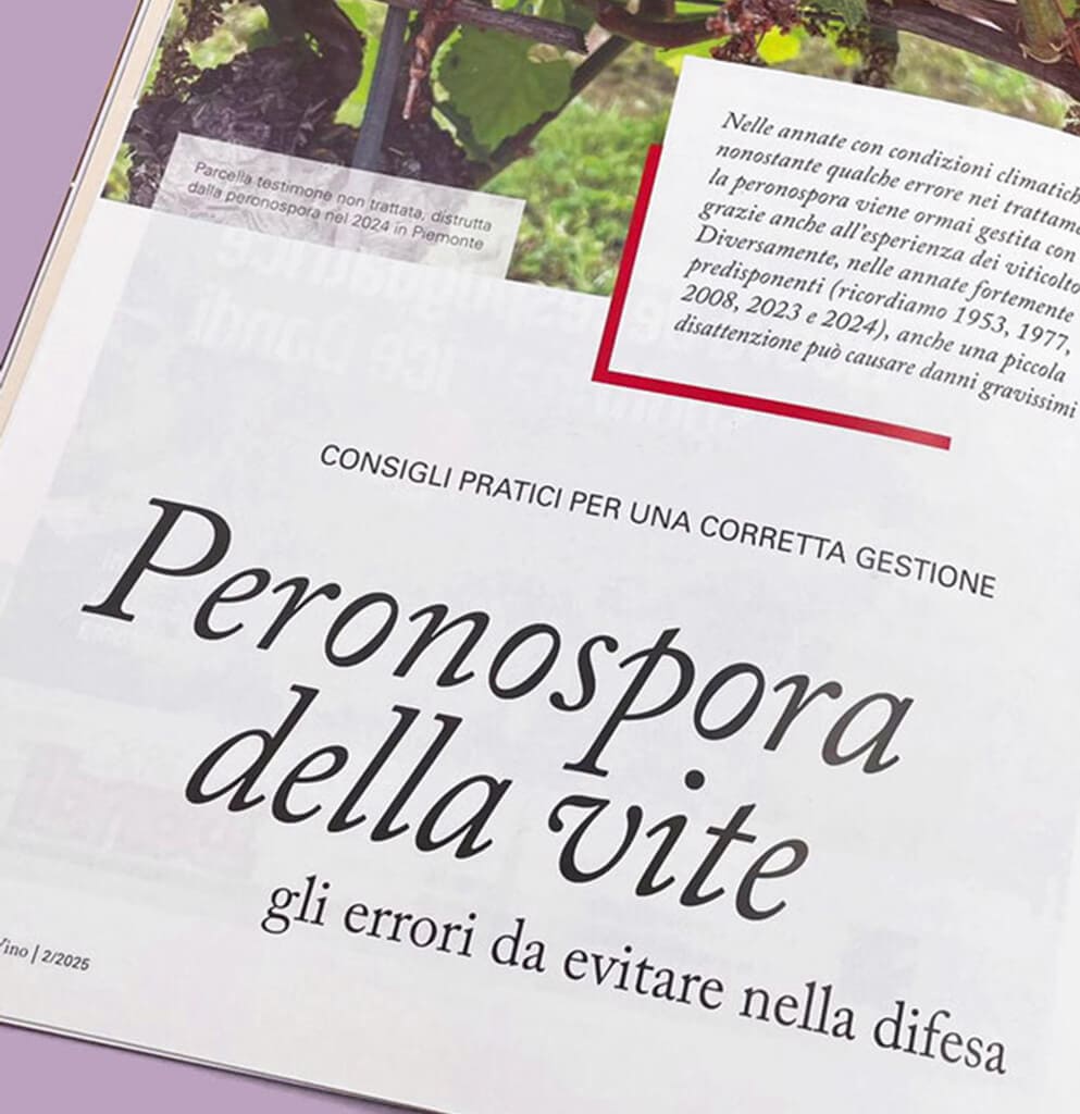 Vite & Vino ha un impaginazione moderna