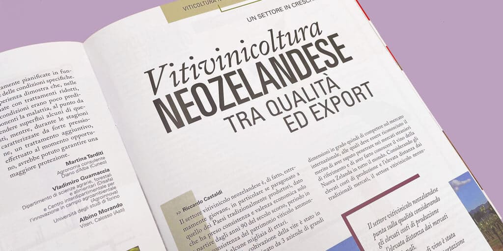 Vite & Vino ha un impaginazione moderna