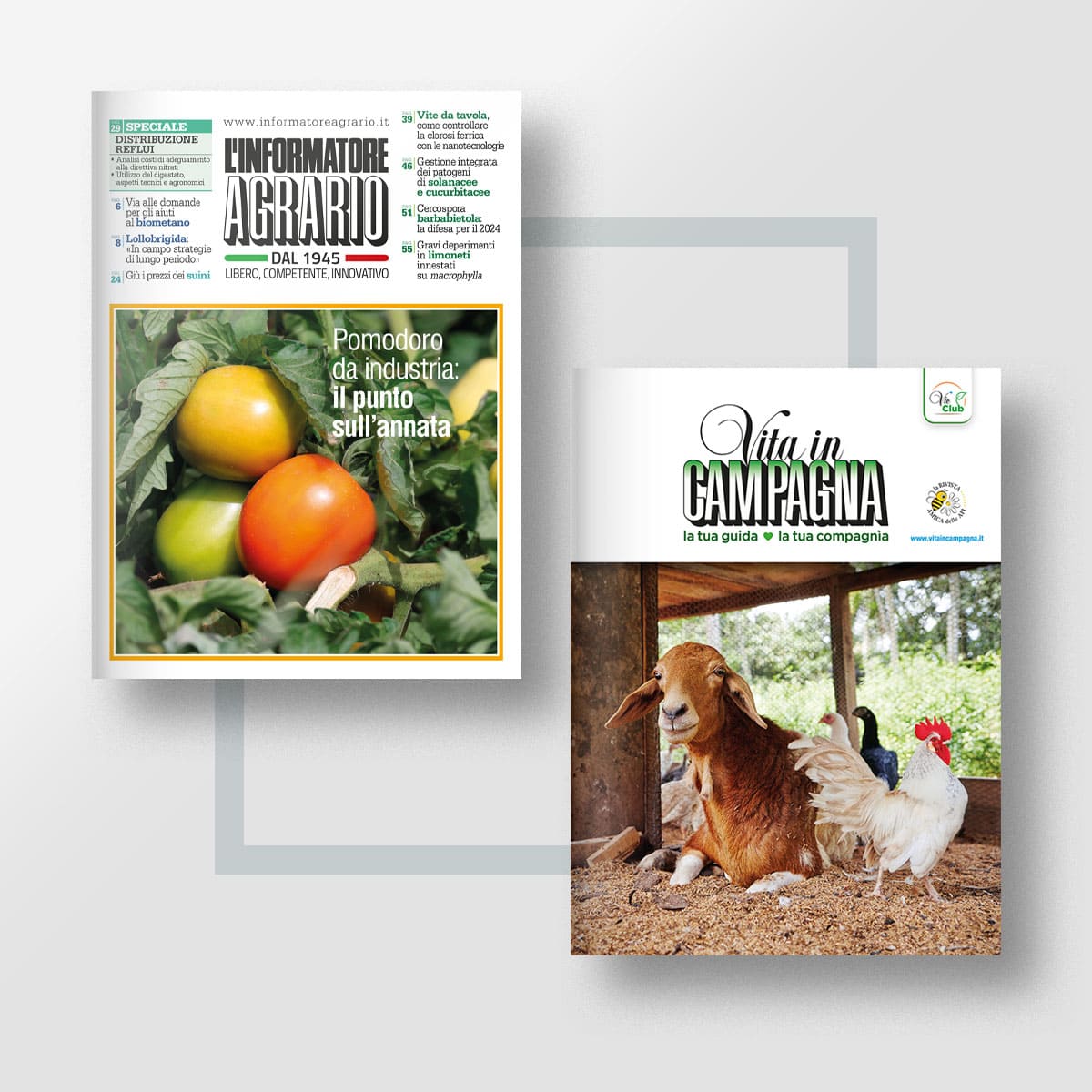 Il pacchetto promozionale dedicato all'azienda famigliare