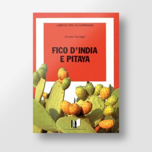 Fico d'India e pitaya