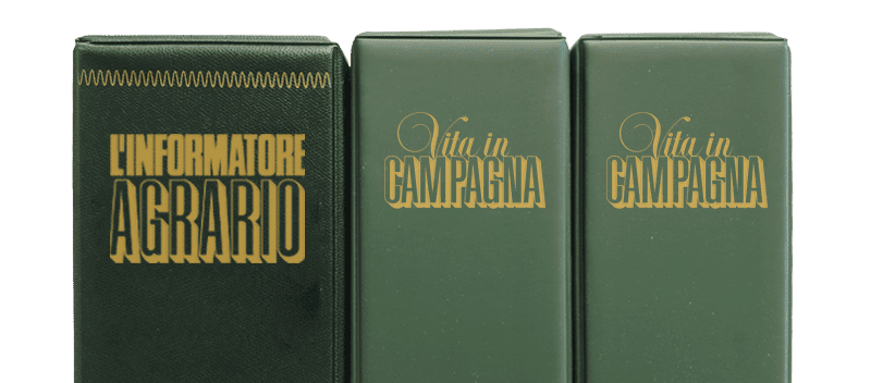 Immagine d'esempio dei nostri accoglitori