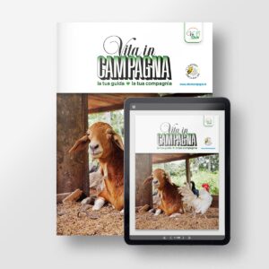 Vita in Campagna | Abbonamento Semestrale