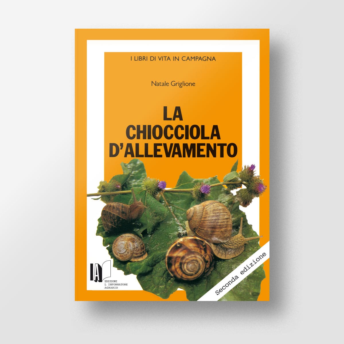 La chiocciola d'allevamento