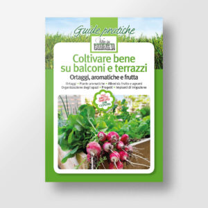 Coltivare bene su balconi e terrazzi