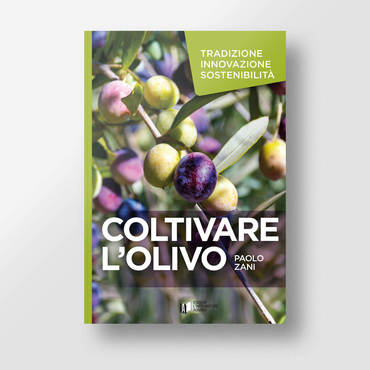 Coltivare l'olivo