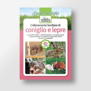 L'allevamento familiare di coniglio e lepre