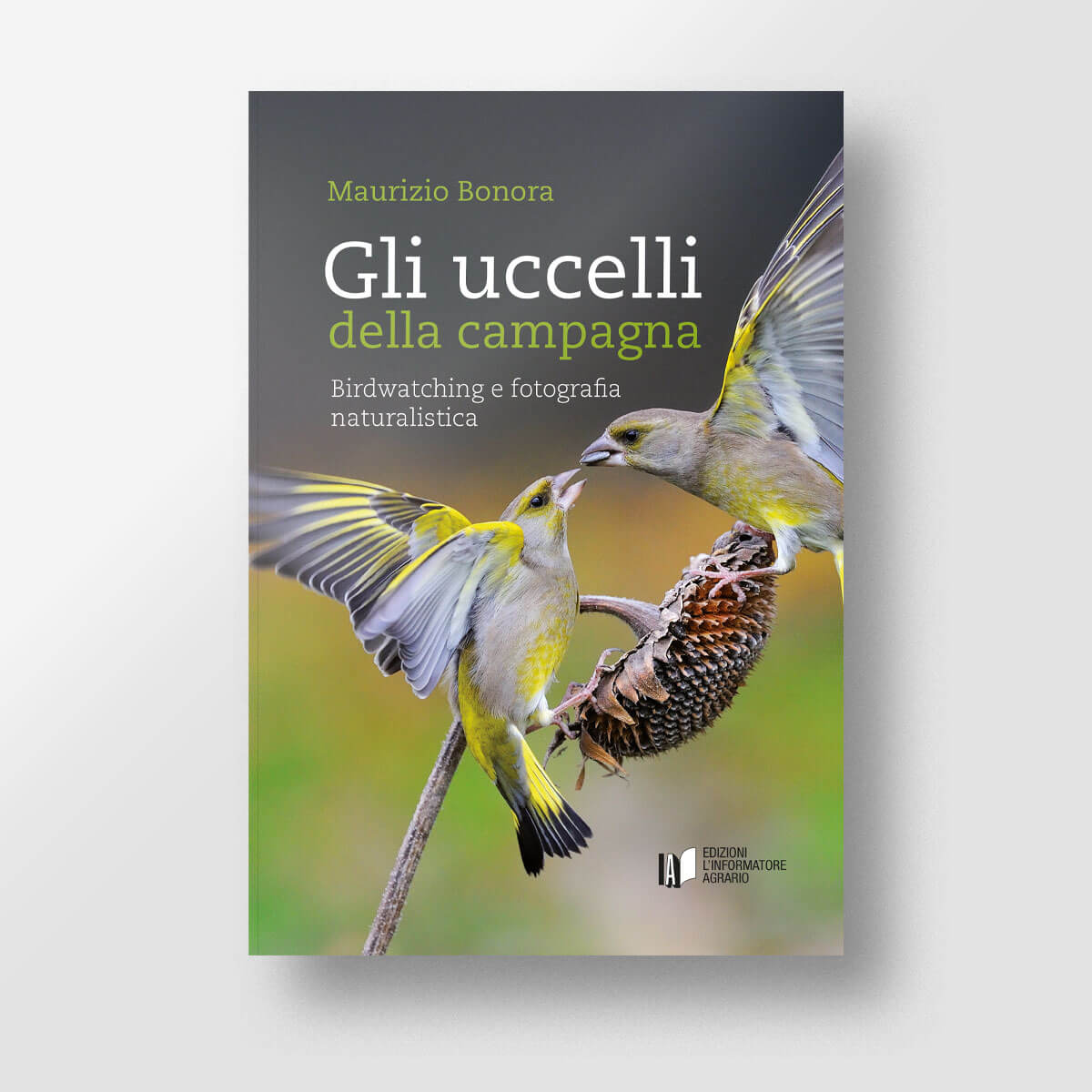 Gli uccelli della campagna