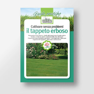 Coltivare senza problemi il tappeto erboso