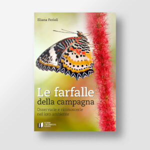 Le farfalle della campagna