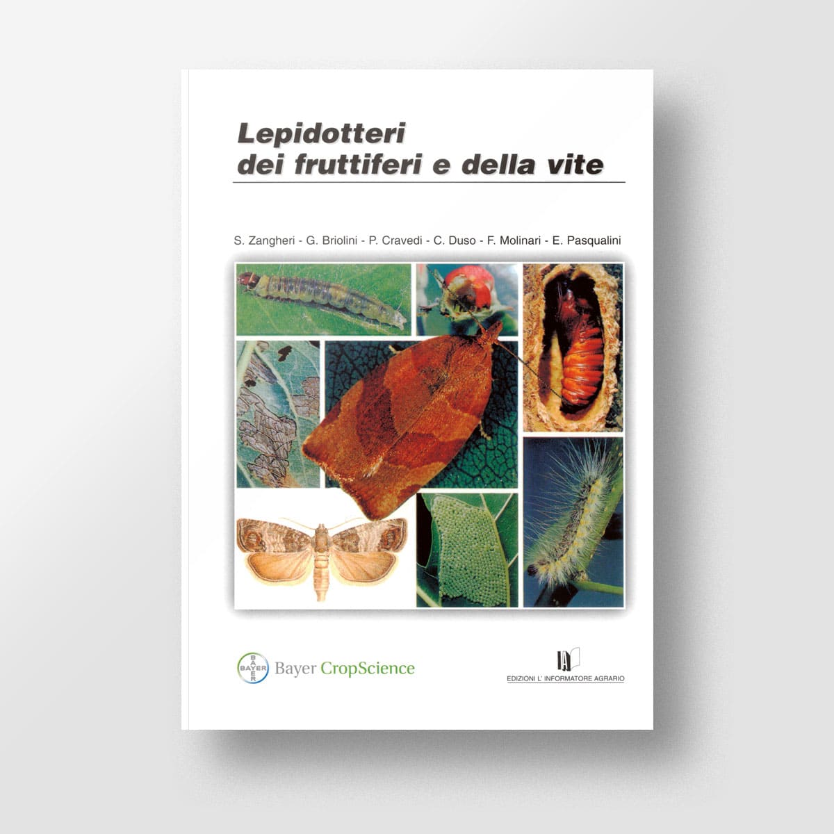 Lepidotteri dei fruttiferi e della vite