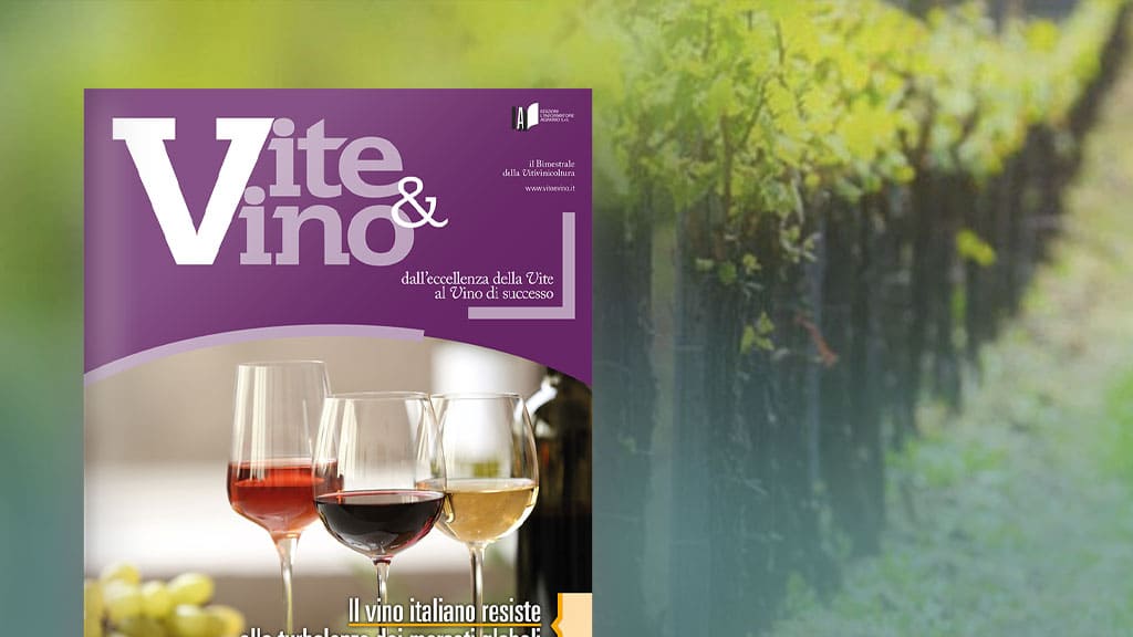 Vite & Vino La copertina di Vite & Vino