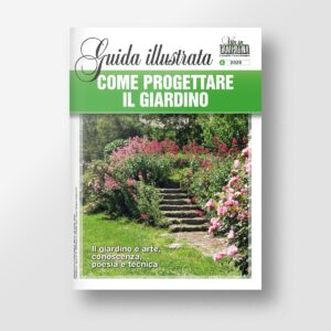 Come progettare il giardino