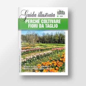 Perché coltivare fiori da taglio