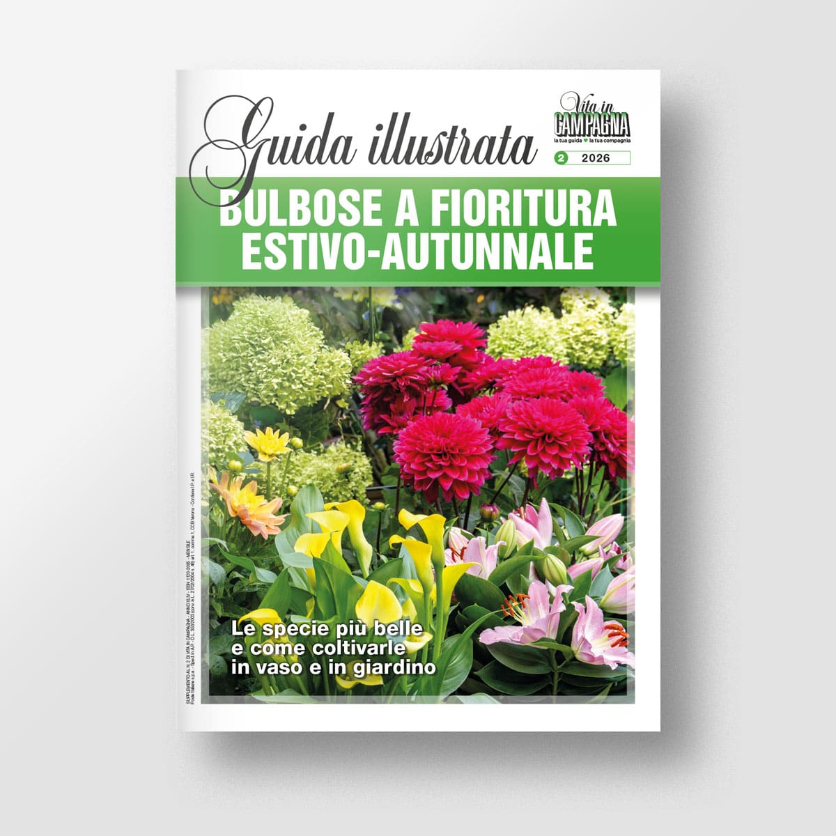 Bulbose a fioritura estivo-autunnale