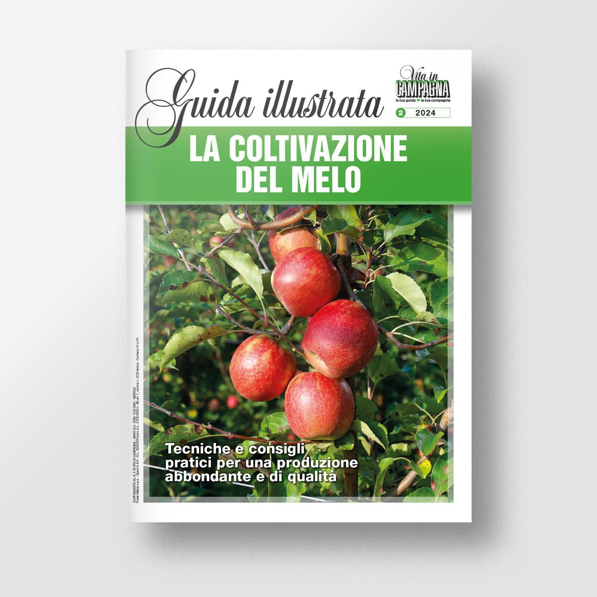 La coltivazione del melo