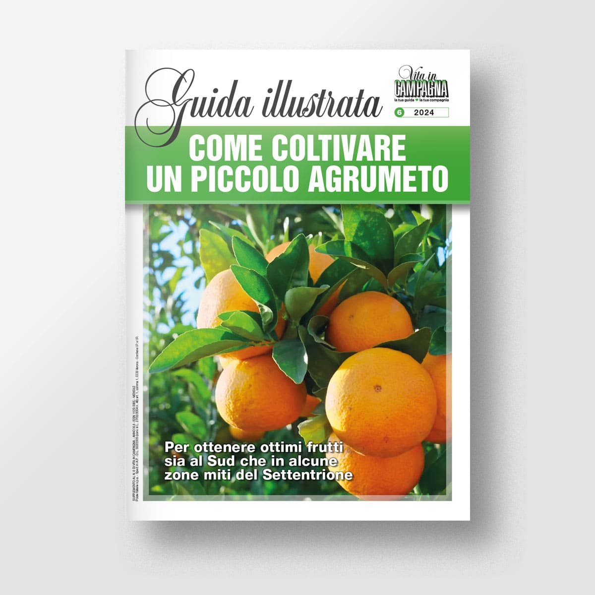 Come coltivare un piccolo agrumeto