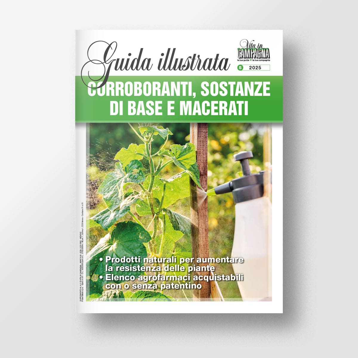 Corroboranti, sostanze di base e macerati
