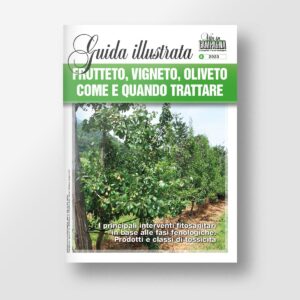 Frutteto, oliveto, vigneto. come e quando trattare