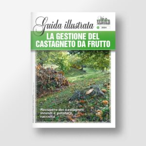 La gestione del castagneto da frutto