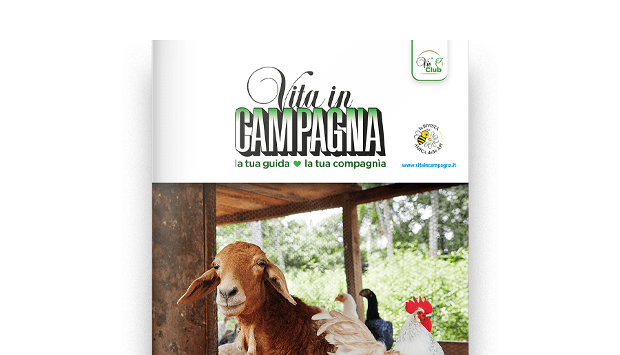 La tua guida, la tua compagnia