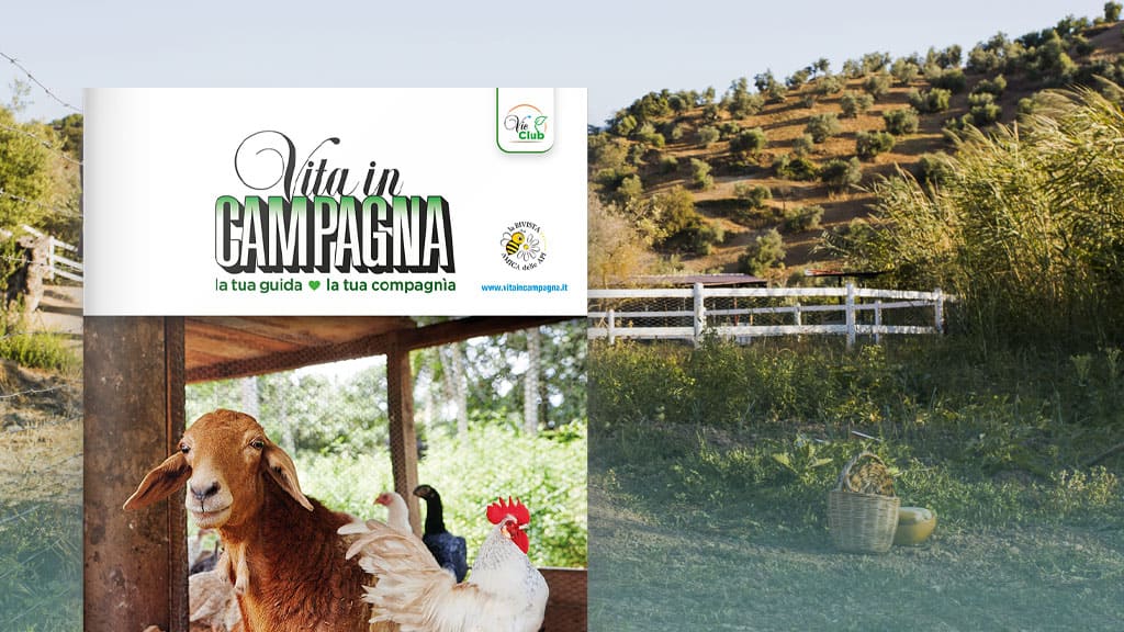 Vita in Campagna La copertina di Vita in Campagna